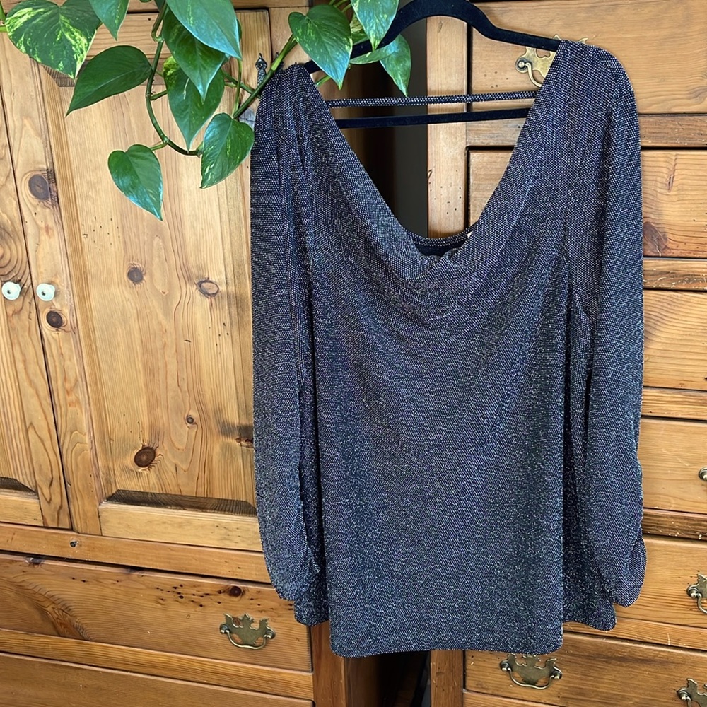 Penningtons sparky long sleeve stretchy dressy top